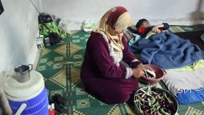 ebeveyn - İdlibli Hayat, engelli kardeşleri ve ailesi için yardım bekliyor (2)  Videosu