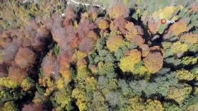 sonbahar -  Karadeniz yaylalarında sonbahar havadan görüntülendi  Videosu