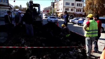 boru hatti - Oltulular, doğal gaz hattının mahallelerine ulaşmasını kurban keserek kutladılar - ERZURUM  Videosu