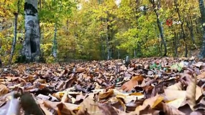 sonbahar -  Amanos Dağları'nda sonbahar manzaraları  Videosu