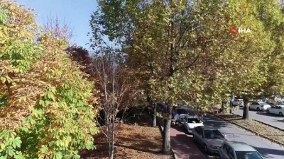 sonbahar -  ESOGÜ’de sonbahar güzelliği  Videosu