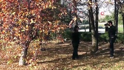 doga fotografcisi -  Kırşehir'de Japon bahçesine ziyaretçi akını  Videosu
