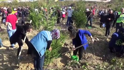 ekolojik - Prof. Dr. Kırdar: 'Topraklı fidanın veya tüplü fidanın dikim mevsimi yoktur' - BARTIN  Videosu