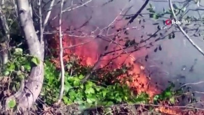  Ordu’da orman yangını 
