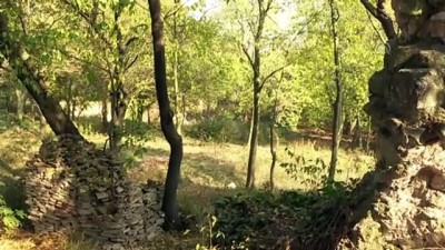 arkeoloji - İmamoğlu, Bathonia arkeolojik kazı alanında incelemede bulundu - İSTANBUL Videosu