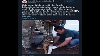 sosyal medya -  'Türk Ordusu' her canlının yarasını sarıyor  Videosu