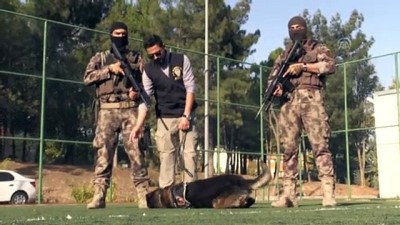 gunes gozlugu - 'Bomba avcısı Timsah' emekliye ayrıldı - GAZİANTEP  Videosu