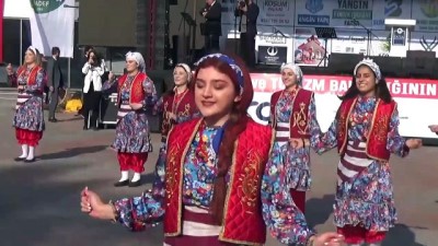 Fatsa'da Hamsi Festivali düzenlendi - ORDU 
