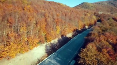 dogal yasam parki - Kış turizm merkezi Kartepe sonbaharda da güzel - KOCAELİ  Videosu