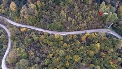 sonbahar -  Kocaeli ormanlarında renk cümbüşü havadan görüntülendi  Videosu