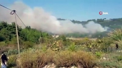  Osmaniye’de orman yangını 