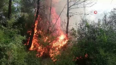  Osmaniye'deki orman yangınını söndürme çalışmaları sürüyor 