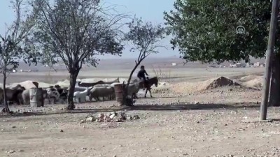 Rasulayn'da hayat normale dönüyor 