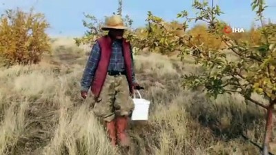 emekli maasi -  Yerli 'Robinson Crusoe' Ziya Dede adasında kışa hazırlanıyor  Videosu