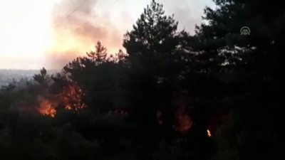 Orman yangını - HATAY