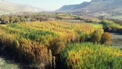 sonbahar - Tarih ve doğanın buluştuğu Savur'da sonbahar havadan görüntülendi - MARDİN Videosu
