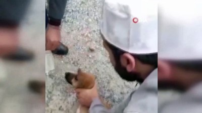  Kafası bidona sıkışan köpeği yoldan geçen imamlar kurtardı 