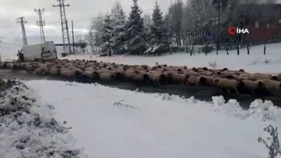  Ordu'ya mevsimin ilk karı yağdı 