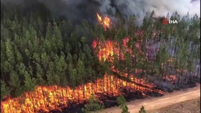 tarim arazisi -  - Avustralya’da orman yangınları güneye doğru ilerliyor
- Dumanlar Sidney’de gökyüzünü kapladı  Videosu