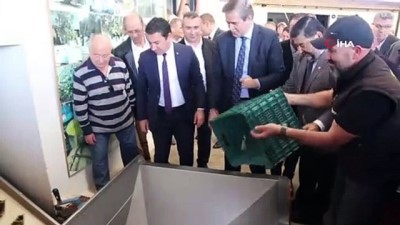 dogal urun -  Bodrum zeytinyağına ‘kalite’ dokunuşu  Videosu