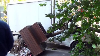  Kamyonetin çarptığı ağaç devrildi