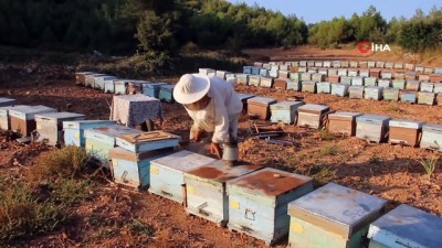 propolis -  TAB Başkanı Şahin:“İthal Apiterapi ürünleri standartlara uygun değil”  Videosu