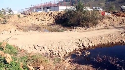 ali goren -  “Balık avlamak yasaktır” yazıyor ama derede su yok Videosu