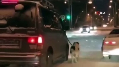 benin -  - Komşusuna kızdı, köpeğini buz tutan yolda yürüttü  Videosu