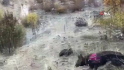 amonyum nitrat -  Teröristler tarafından toprağa gömülen patlayıcı böyle imha edildi  Videosu