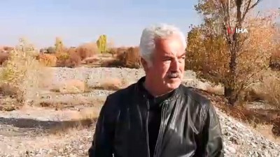 yirtici kus -  Nesli tehlike altında olan 'Kara Akbaba' göç ederken Erzincan’da mola verdi  Videosu