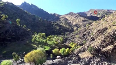 sonbahar -  Beytüşşebap’ta sonbahar güzelliği  Videosu