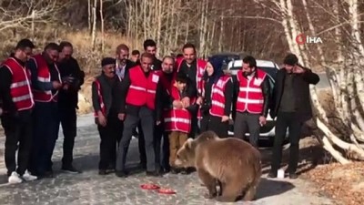 yavru ayilar -  Bitlis’in maskotu ayılar kavurmayla besleniyor  Videosu