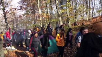 sonbahar - Dumanlı Yaylası, sonbahar renkleriyle büyülüyor - OSMANİYE  Videosu