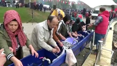 sivil toplum - Hamsi festivalinde 10 ton balık dağıtıldı - ZONGULDAK  Videosu