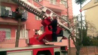 elektrik diregi -  Ağaçta mahsur kalan sakat kediyi itfaiye ekipleri kurtardı  Videosu