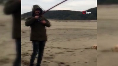 amator balikci -  Bartın’da balıkçı oltasına yavru köpek balığı takıldı Videosu