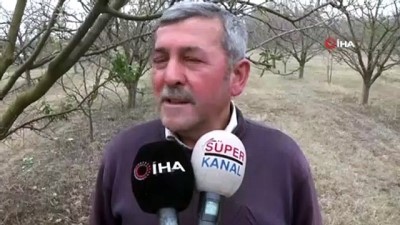 sahit -  Erik ağacı çiçek açtı, sonra meyve verdi Videosu