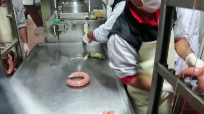 kilik kiyafet - Et ve et ürünleri üreten iş yerleri denetlendi - ADANA Videosu