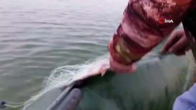 balikci agi -  Ticari avcılığın yasak olduğu gölette kaçak balık avına karşı denetim  Videosu