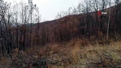  Bitlis’te terör örgütüne ait malzemeler böyle imha edildi 