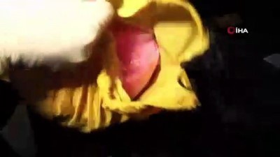  Diyarbakır’da 559 kilo esrar ele geçirildi 