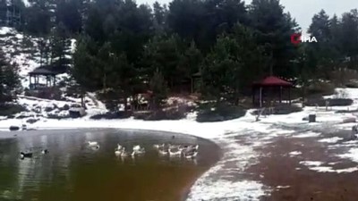  Limni Gölü'nde kar yağışı başladı