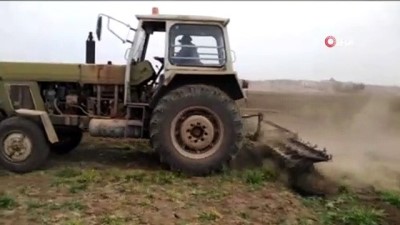  - Tel Abyad'da buğday hasadı başladı