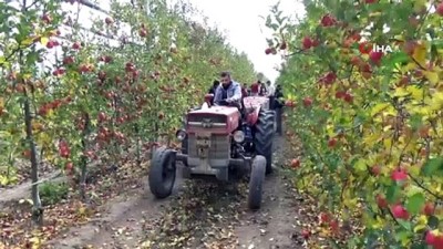  Karaman’da mevsimin son elma hasadı yapıldı 