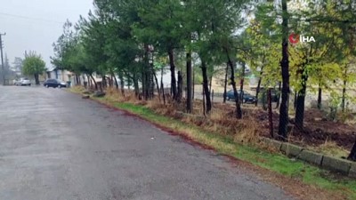  Araçta silahla oynayan iki amca oğlundan biri diğerini vurdu 