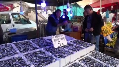  Hamsinin kilosu 5 TL'ye kadar düştü 