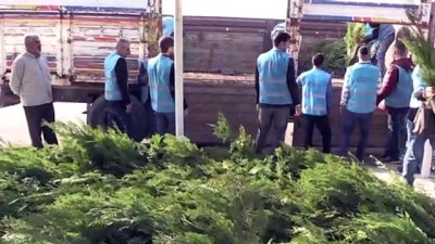 Adıyaman'da yükümlüler fidan dikti - ADIYAMAN