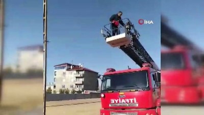 itfaiye eri -  Elektrik tellerine takılan kargayı itfaiye ekipleri kurtardı  Videosu