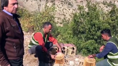 kinali - Kaçak keklik avcılarına ceza - TUNCELİ  Videosu