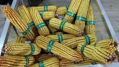 TÜYAP 13. Adana Uluslararası Tarım ve Sera-Bahçe Fuarı açıldı - ADANA 